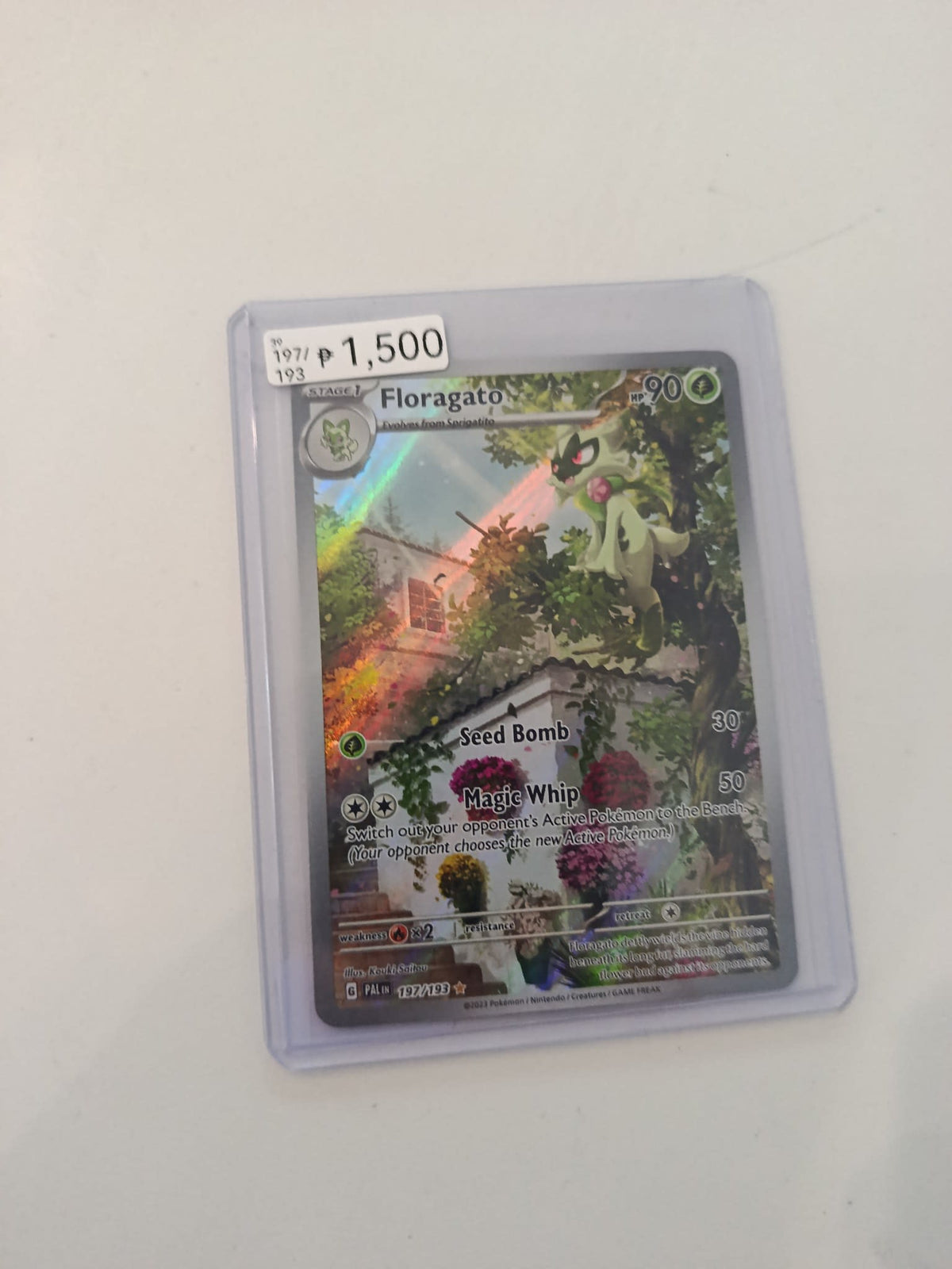 Pokemon Floragato Paldea Evolved (PAL IN) #197/193 2023 (English) 197/193