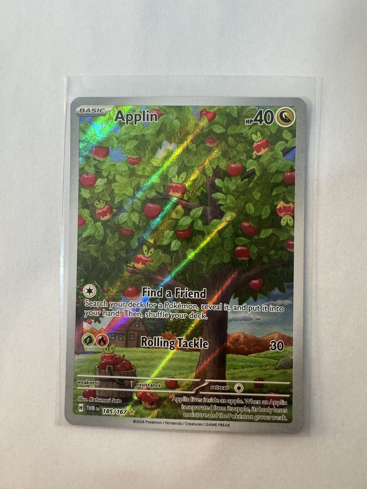 Pokemon Applin Twilight Masquerade (TWM) #185/167 2024 (English) 185/167