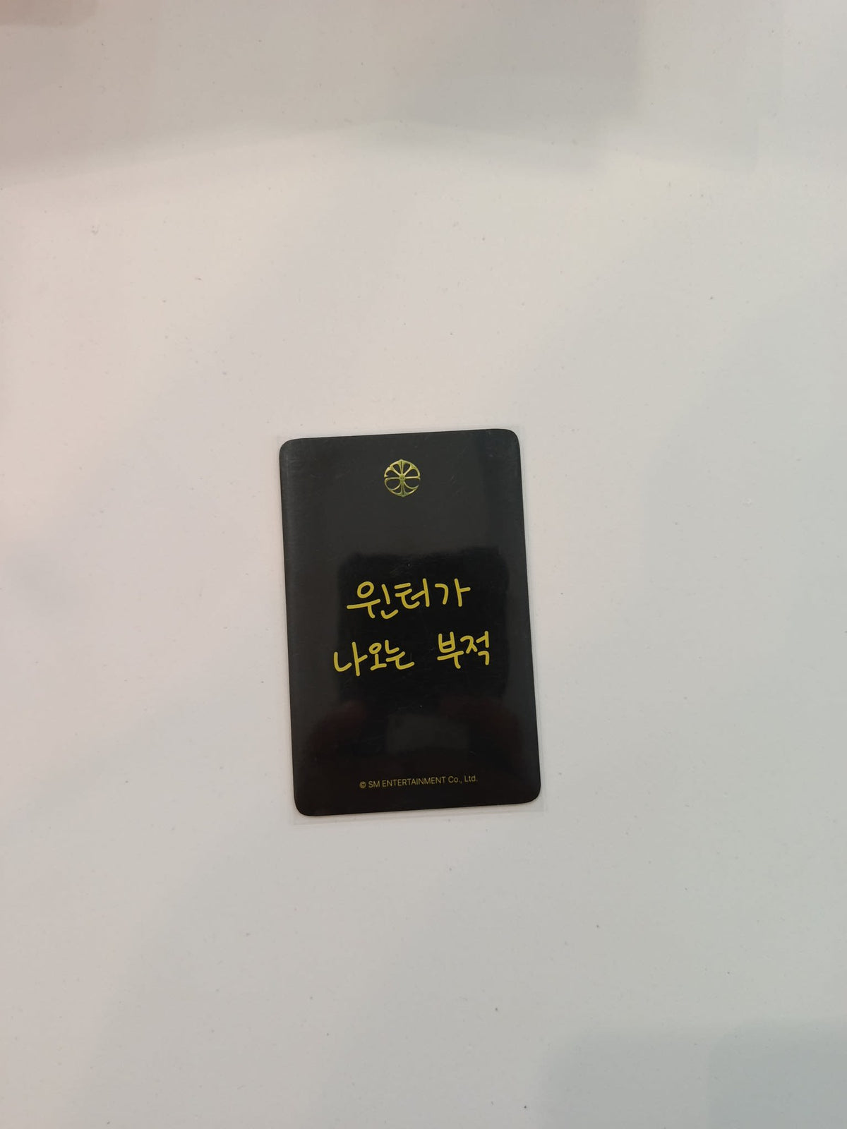 SM Entertainment 윈터가 나오는 부적 (Winter Talisman) Winter - view 2