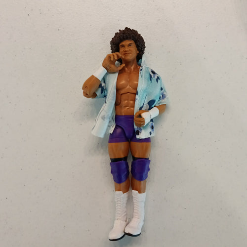 WWE Action Figure