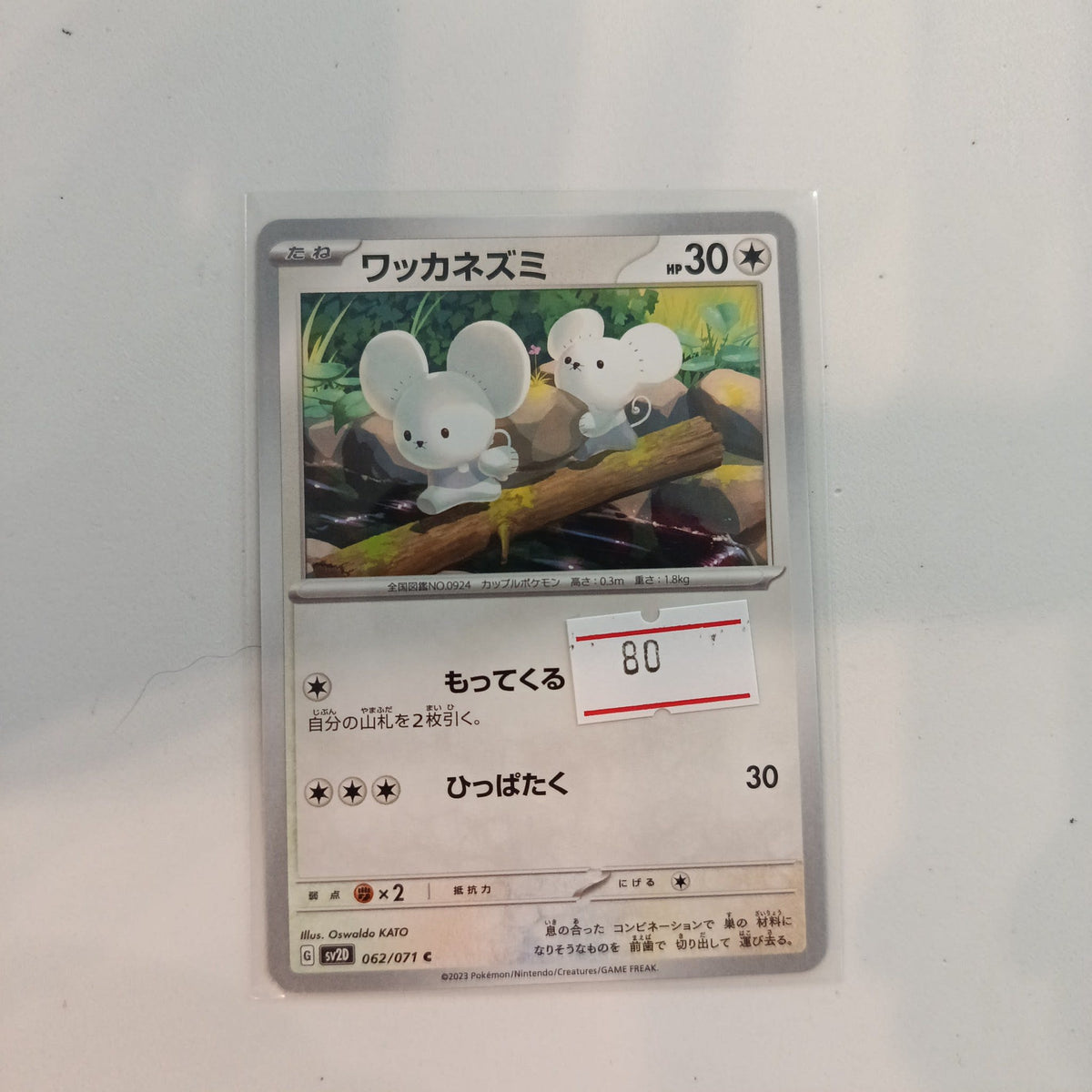 Pokemon Tandemaus SV2a Pokemon Card 151 #062/071 2023 (Japanese)