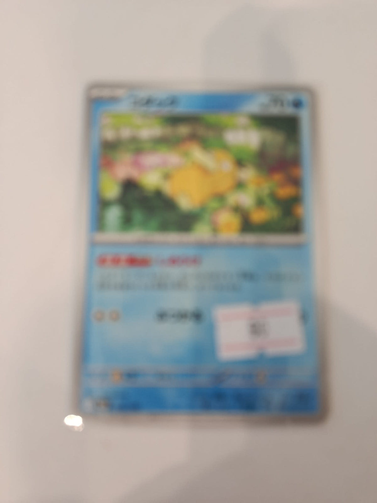Pokemon (Japanese)
