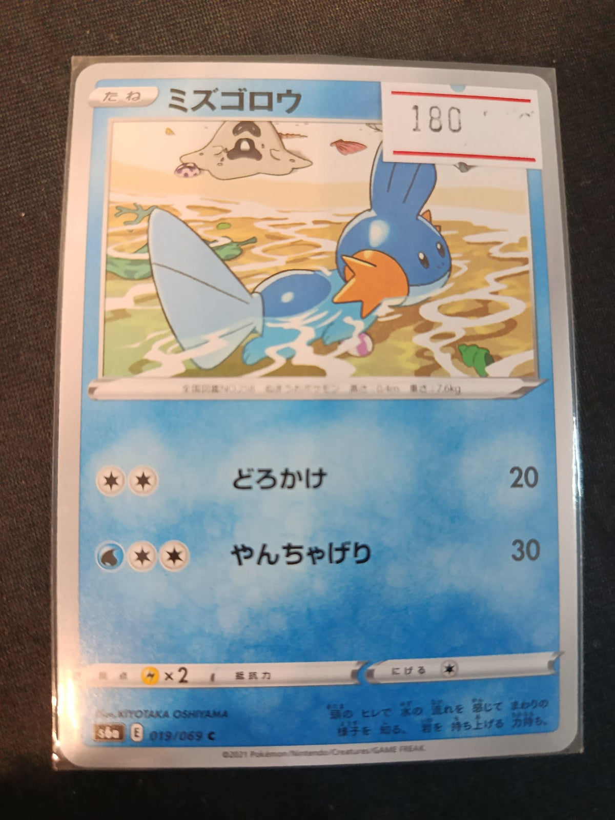 Pokemon Mudkip s8a #019/069 2021 (Japanese)