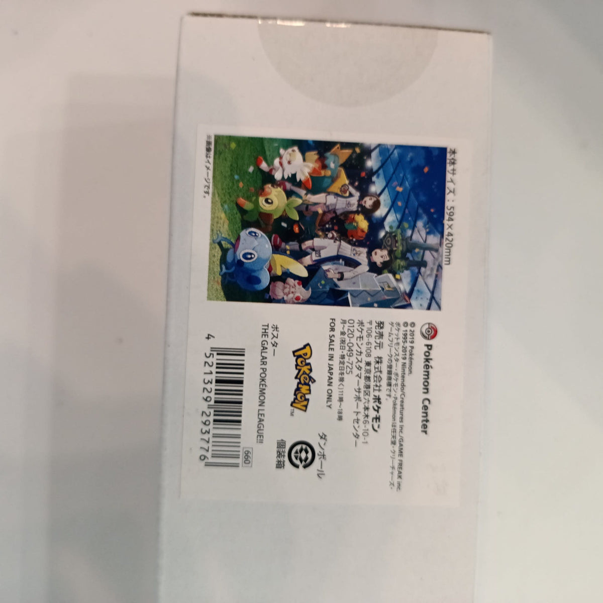2019 Pokemon Center The Galar Pokemon League Galar Pokemon League - view 2