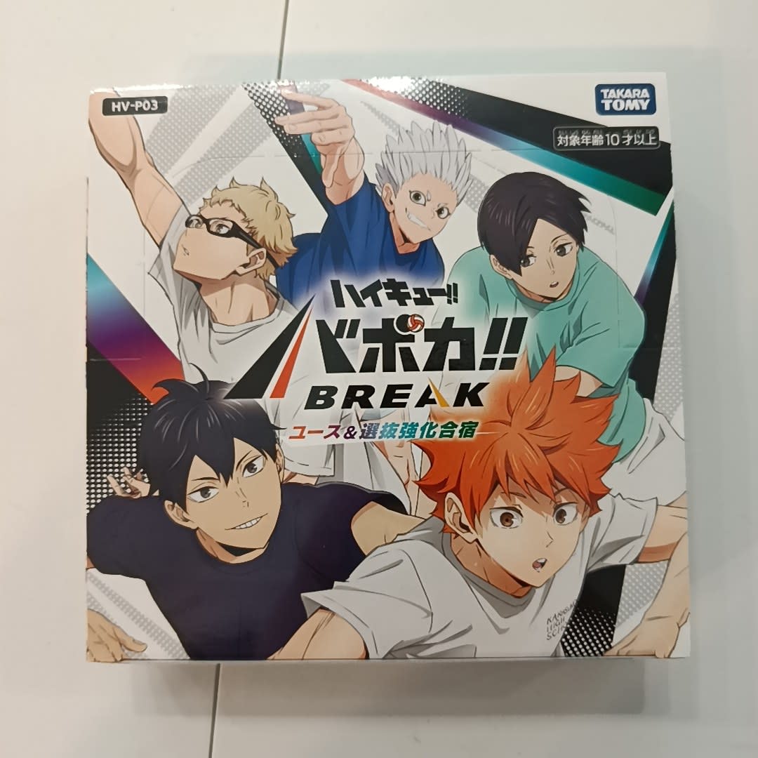 Haikyuu Haikyuu!! Bopoka!! BREAK - Youth & Selection Training Camp Shoyo Hinata (Japanese)