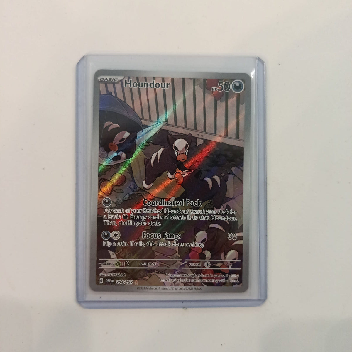 2023 Pokemon Company Obsidian Flames Illustration Rare Houndour #204/197