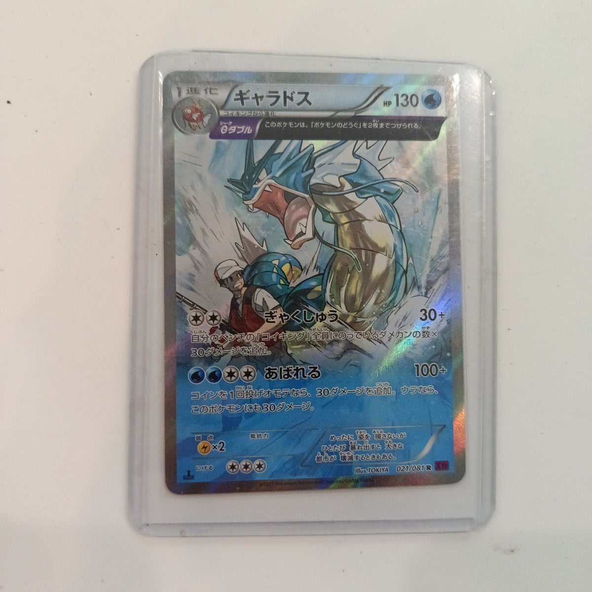 2015 Pokemon Company XY Rage of the Broken Heavens Gyarados Reverse Holo #021/081