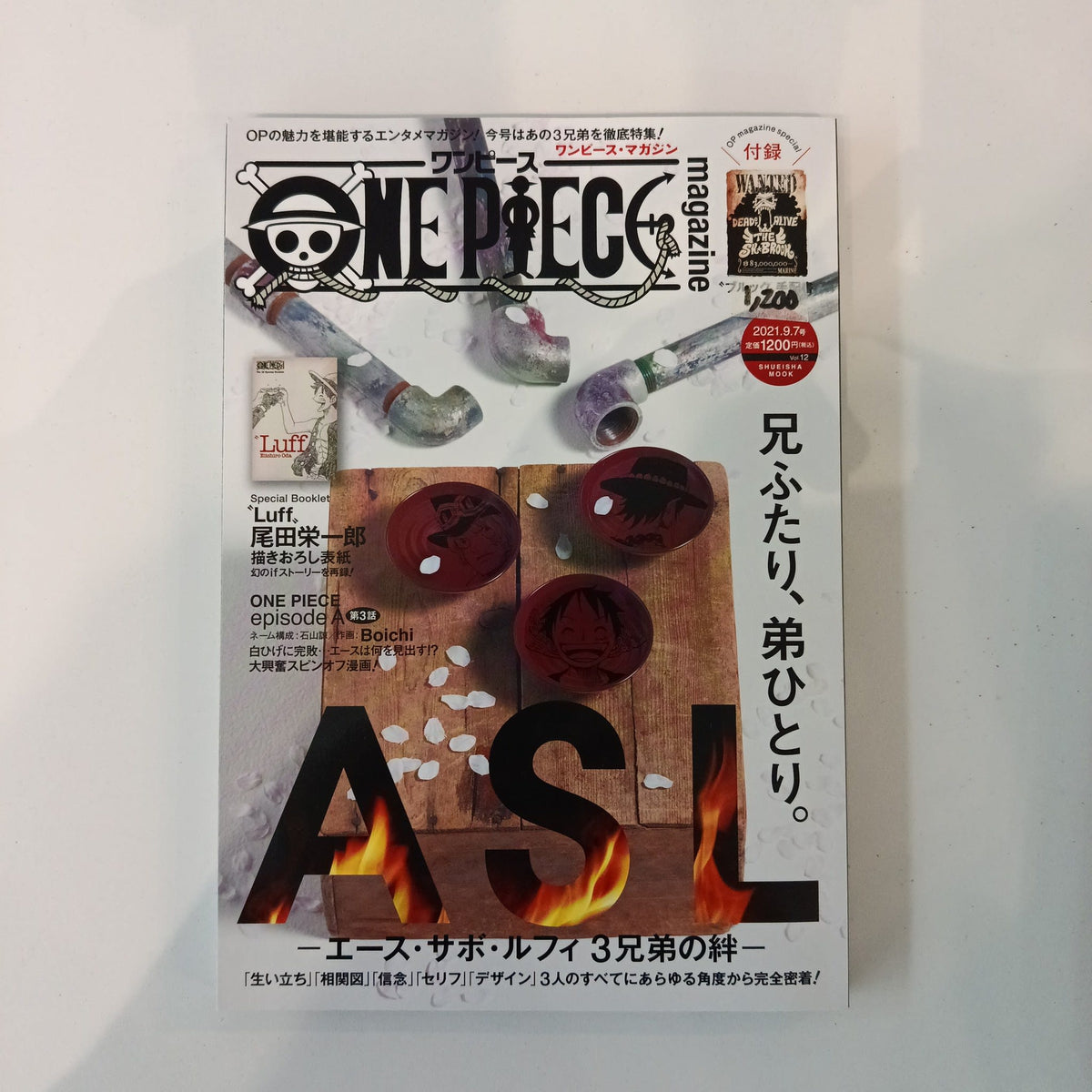 2021 One Piece One Piece Magazine ASL Brothers