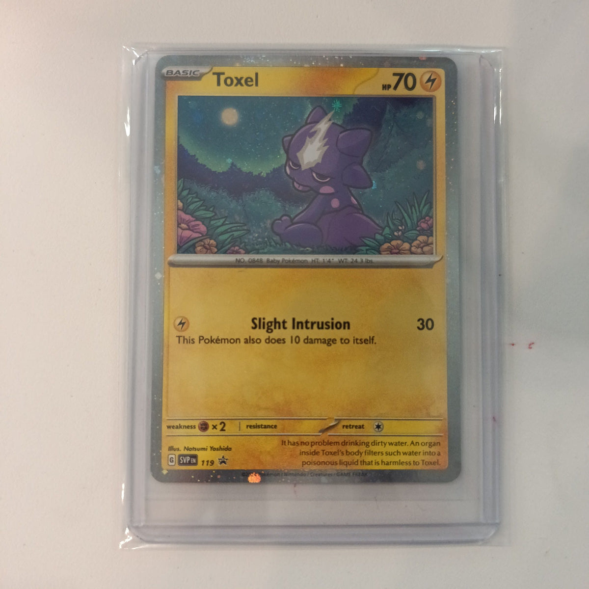 2023 Pokemon Company Scarlet & Violet Promo SVP Promo Toxel Holo #119