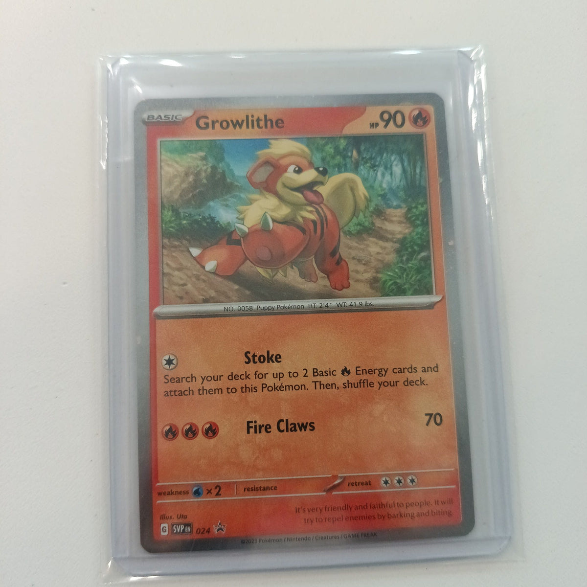 2023 Pokemon Company Scarlet & Violet Promos SVP Promo Growlithe #024