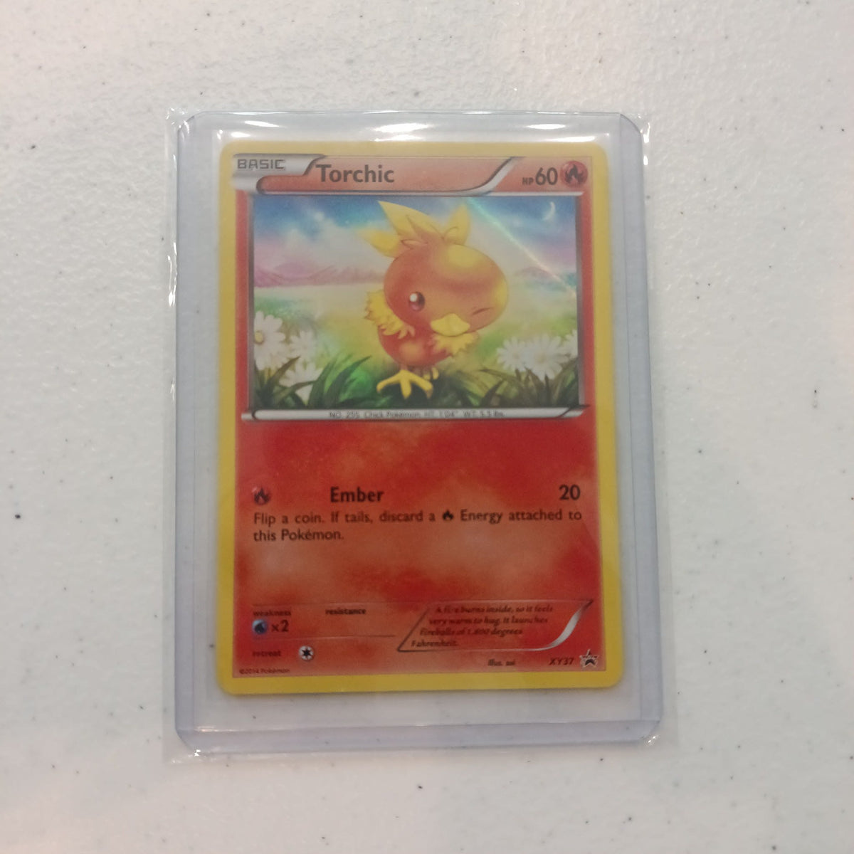 2014 Pokemon Company XY Torchic #XY37