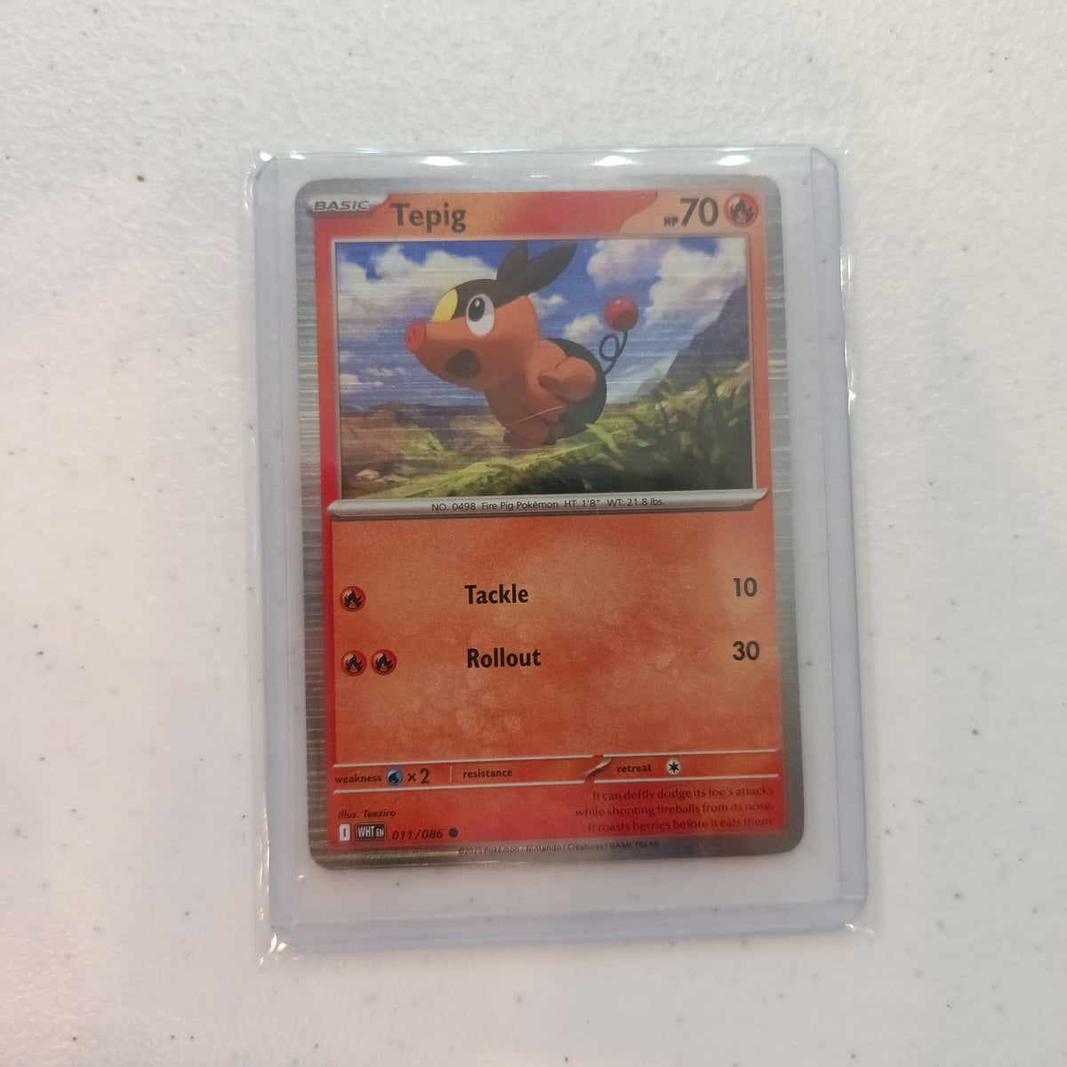 2023 The Pokemon Company Scarlet & Violet Tepig #011