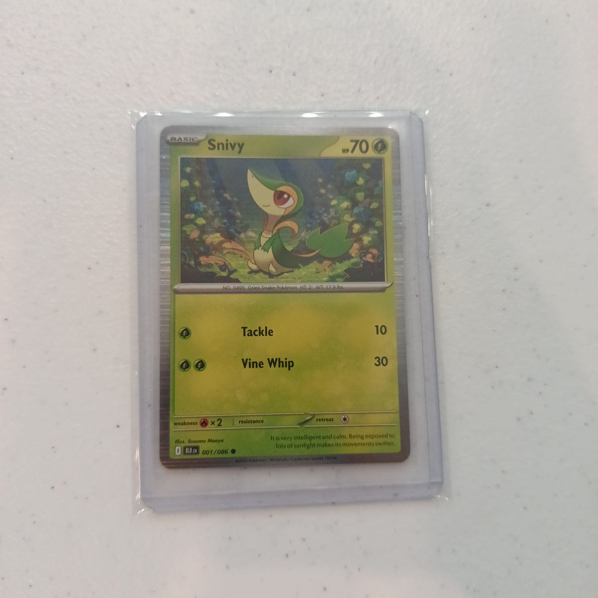 2023 Pokemon Company Scarlet & Violet Black Star Promos Snivy #001/086