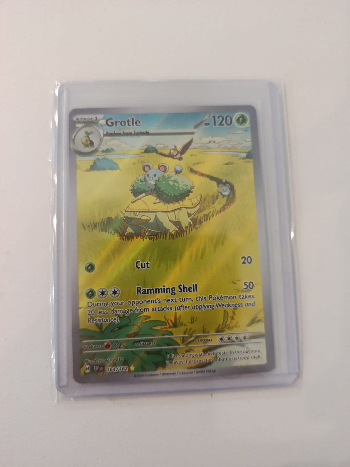 Pokemon Grotle TEF (Temporal Forces) #164/162 2024 (English) 164/162