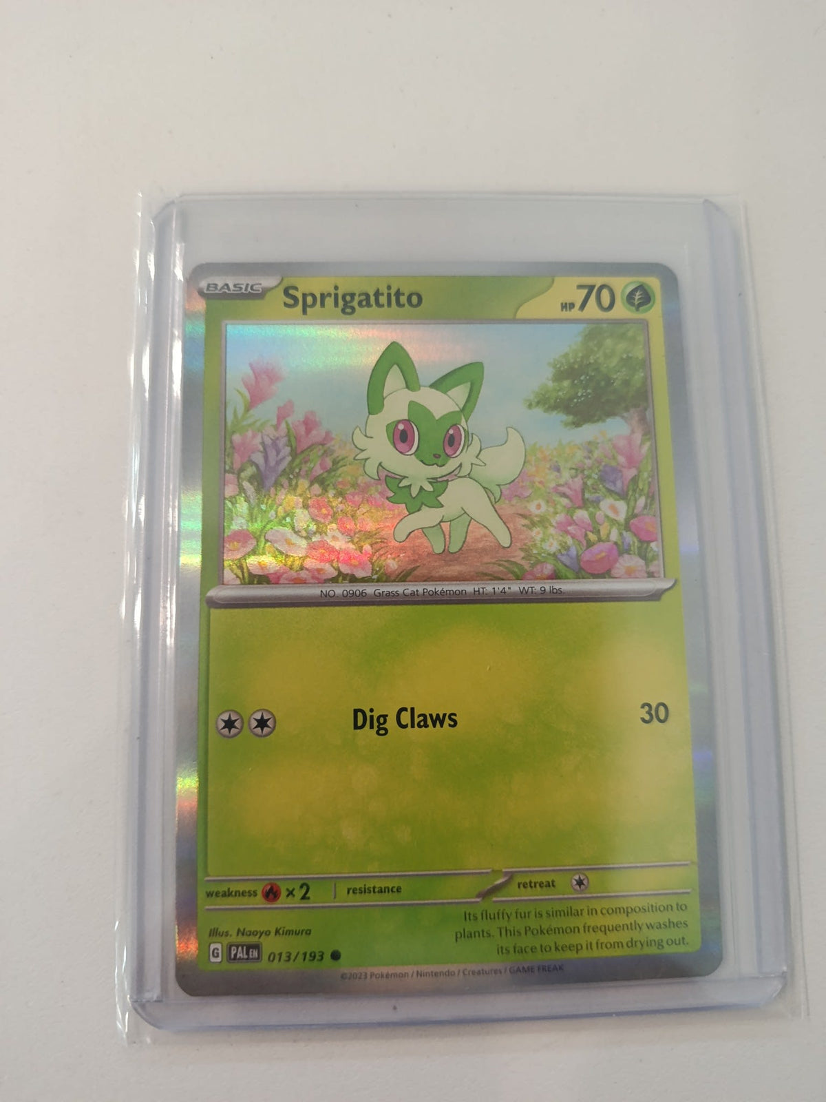 Pokemon Sprigatito Paldea Evolved (PAL) #013/193 2023 (English)