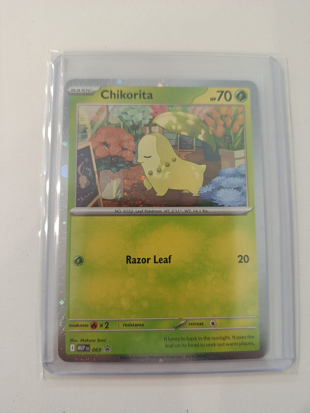 Pokemon Chikorita MEP #069 (English)
