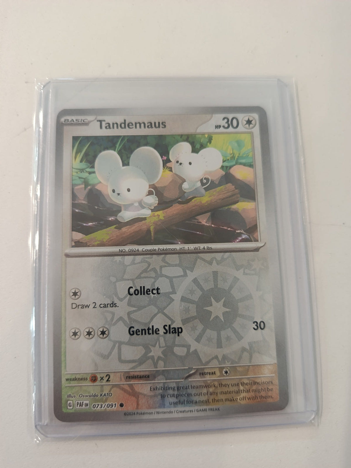 Pokemon Tandemaus PAF (Paldean Fates) #073/091 2024 (English)