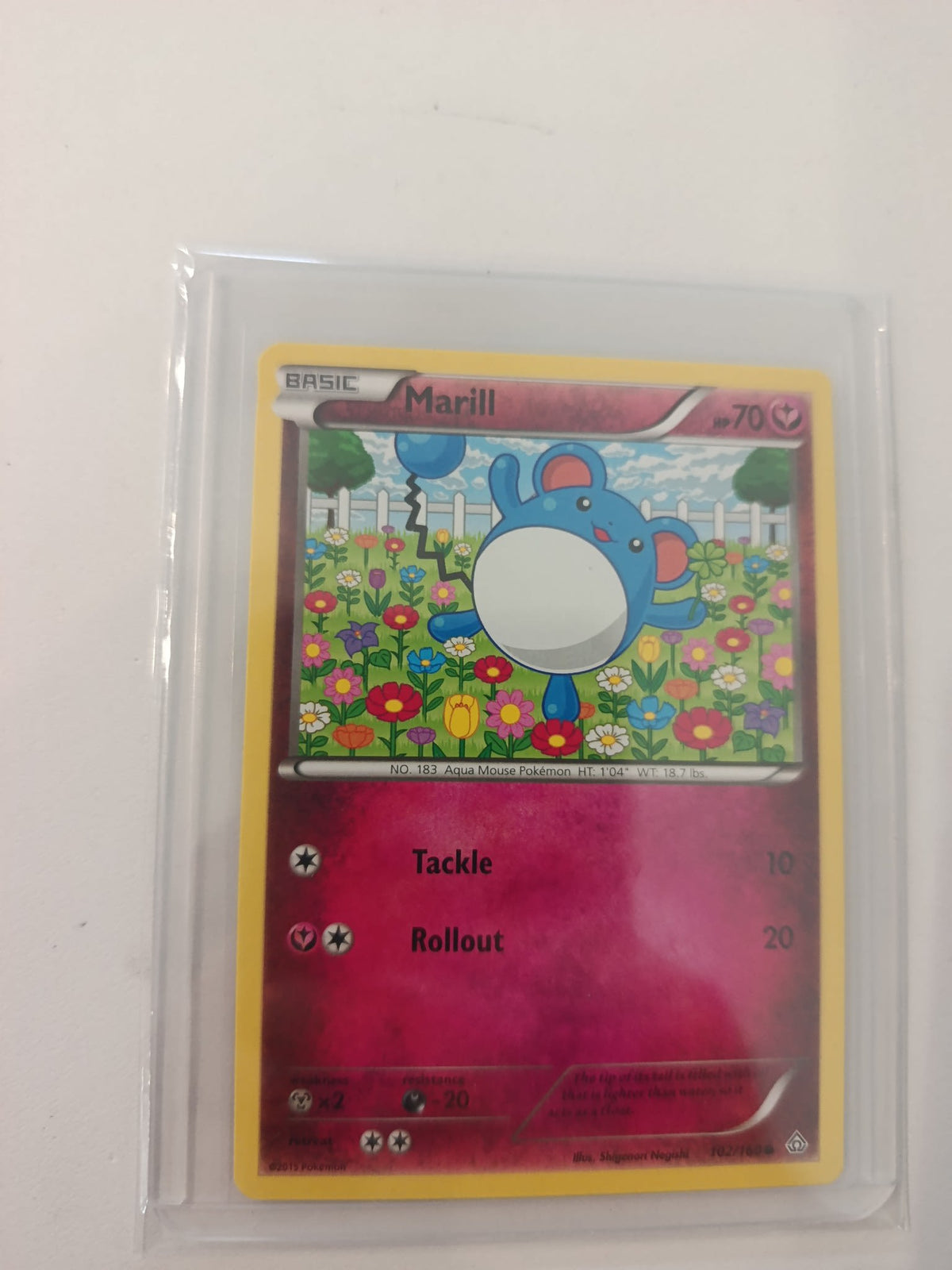 Pokemon Marill Unbroken Bonds #102/214 2019 (English)