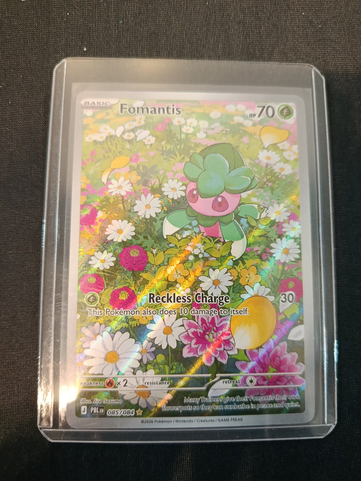 Pokemon Fomantis PBL #085/084 2026 (English) 085/084