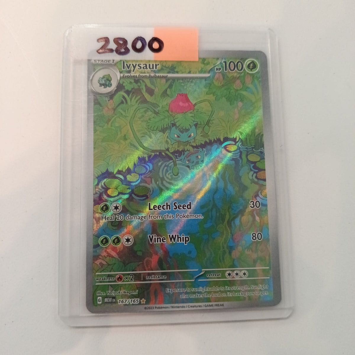 2023 Pokemon Company 151 Illustration Rare Ivysaur #167/165